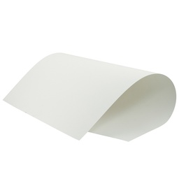 CARTONCILLO BLANCO 25X38